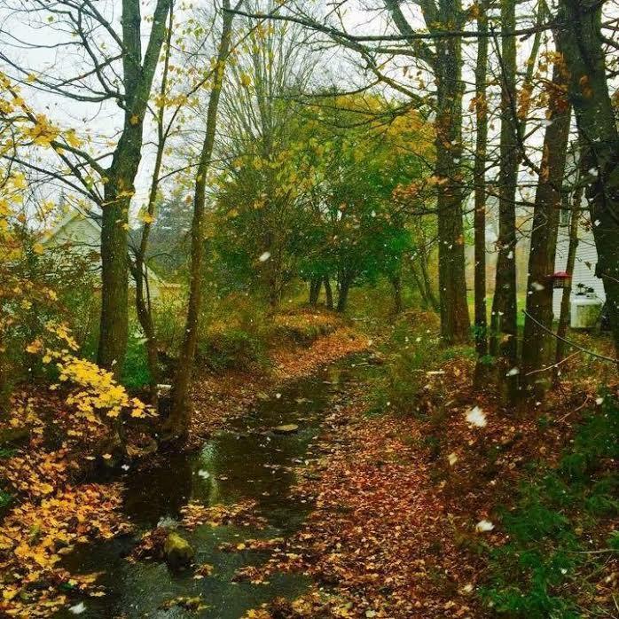 Brookside Inn At Laurens Dış mekan fotoğraf